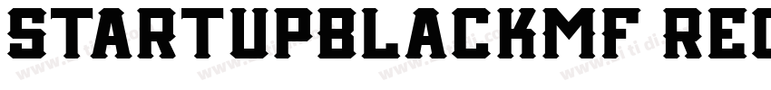 StartUpBlackMF Regul字体转换